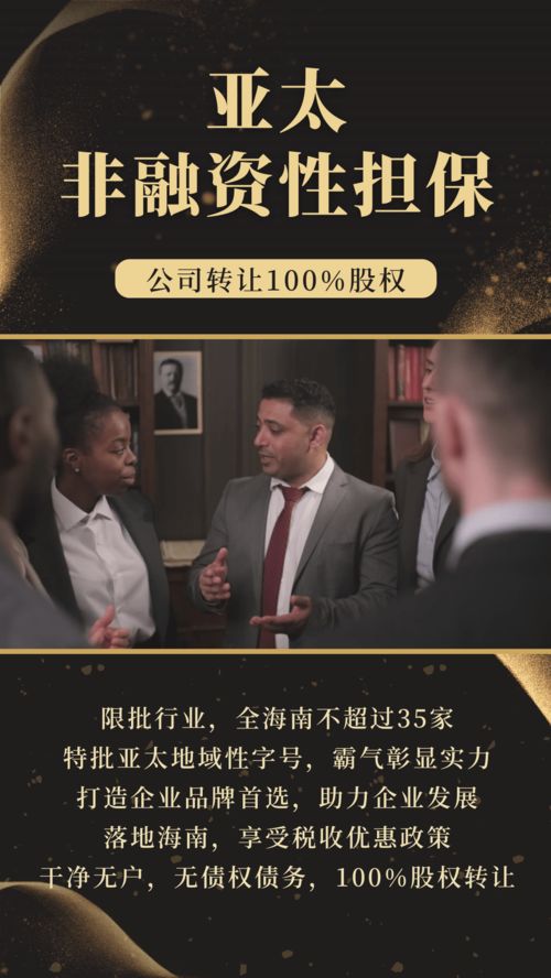 霸氣字號布局海南板塊 亞太非融資性擔保公司在海南的戰略發展