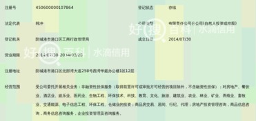 廣西和信高盛非融資性擔(dān)保有限公司防城港分公司 聚焦非融資性擔(dān)保，服務(wù)地方經(jīng)濟(jì)