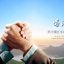 四川蜀匯非融資性擔(dān)保有限公司 融資性擔(dān)保服務(wù)的專業(yè)解析