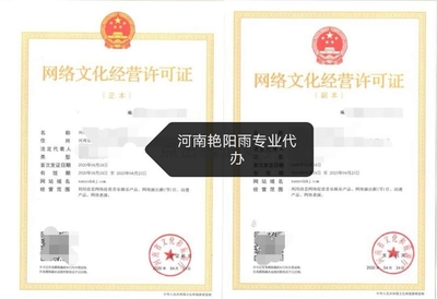 辦理網絡文化經營許可證 網絡技術服務的合規路徑與操作指南