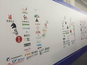 百浪科技盛裝亮相第十七屆深圳文博會，全方位展示外貿及數字門戶實力